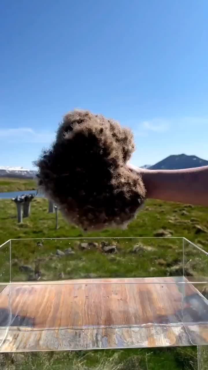 Water and Eiderdown(Duck Feather) don't mix due to the vast amount of