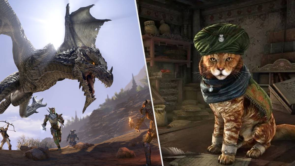 Bethesda Donating To Animal Charity For Every Dragon Slayed In 'Elder Scrolls Online'