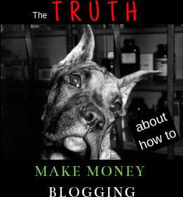 Truth about making money blogging: Bloggingfornontechies.com