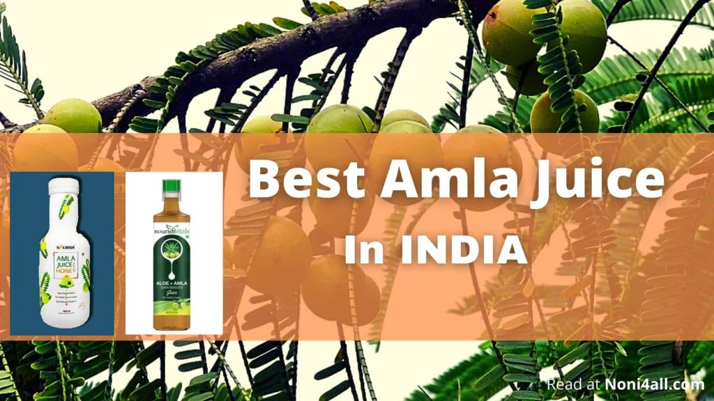 6 Best Amla Juice In India (2020 Rating)