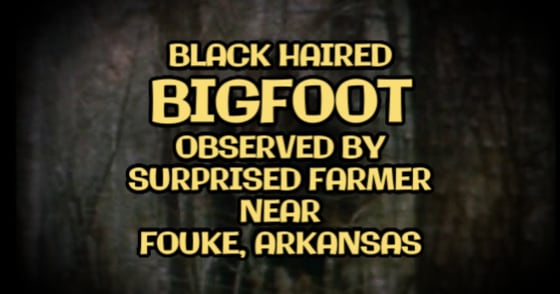 Black Haired Bigfoot Observed by Surprised Farmer Near Fouke, Arkansas