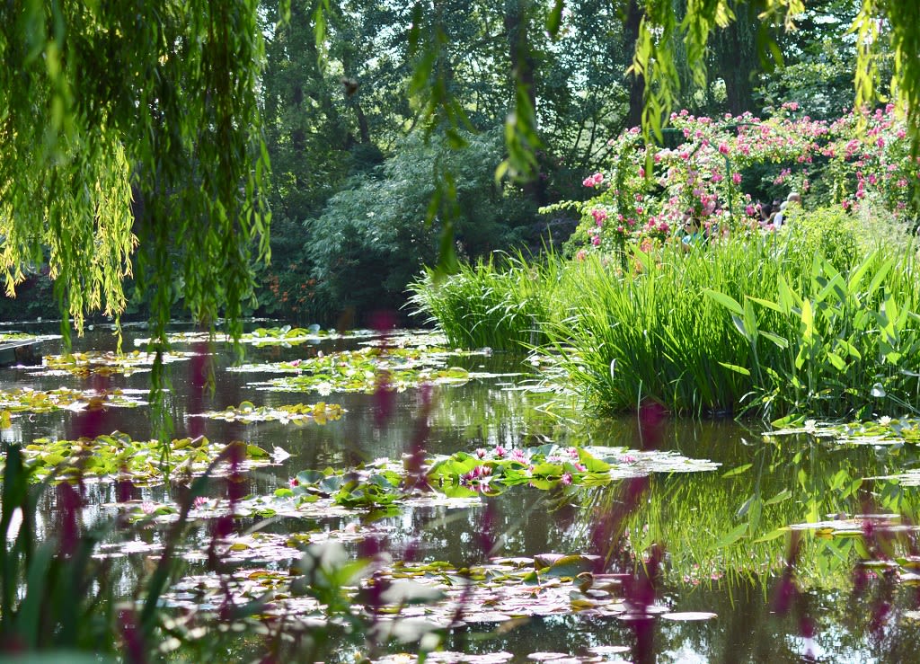 Explore the House and Gardens of Monet: The Perfect Day Trip from Paris