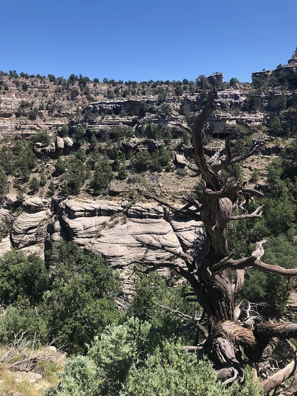 Island and Rim Trail in Walnut Canyon National Monument