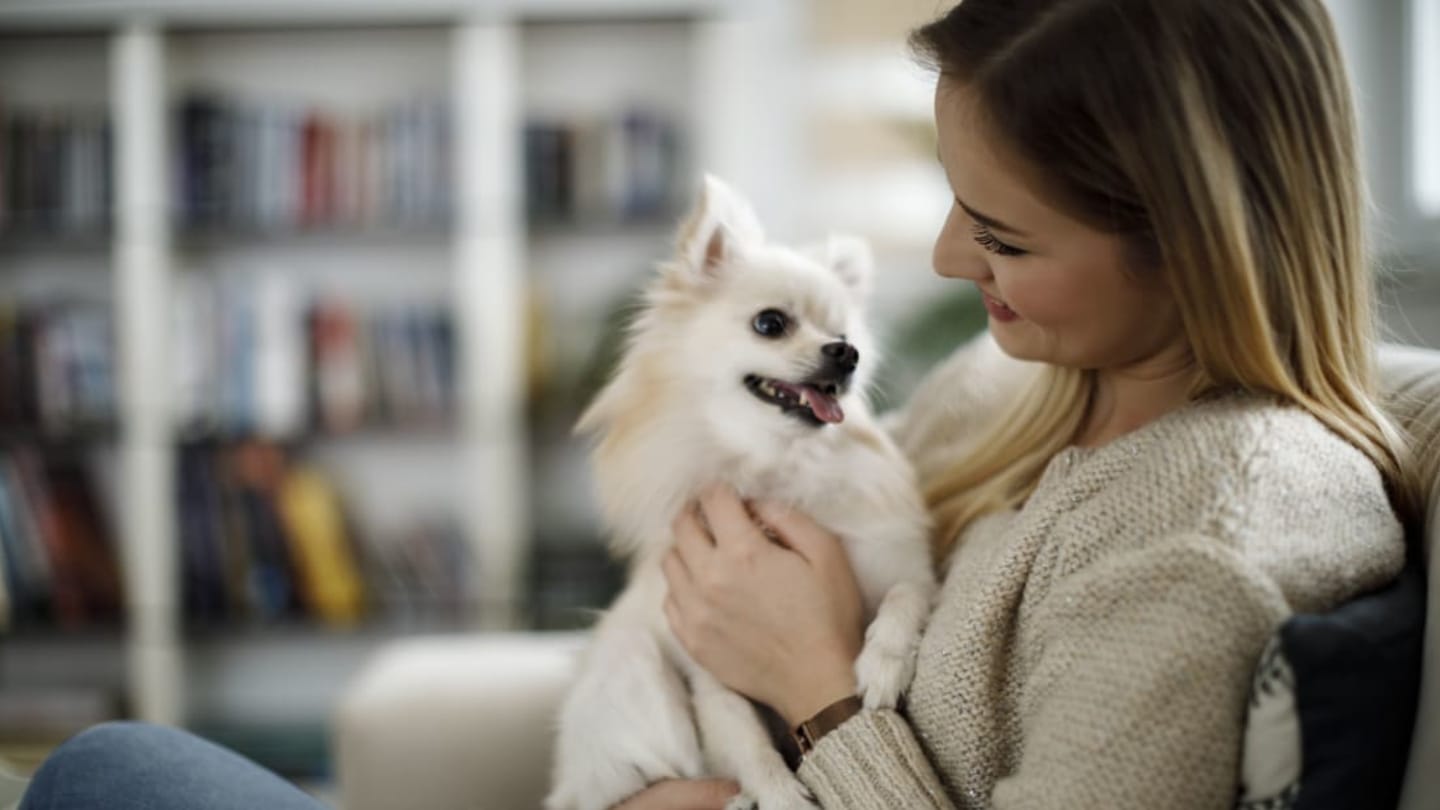 Survey: People Show More Affection to Their Dogs Than Their Humans