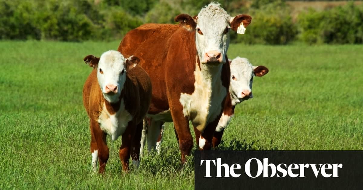 We must change food production to save the world, says leaked report