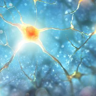 Scientists just shapeshifted a brain cell