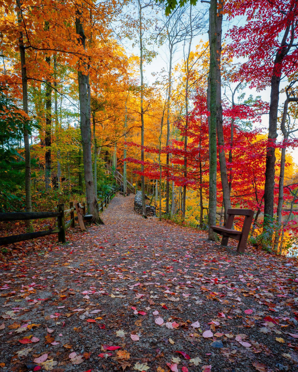 ITAP of Autumn colors in Ohio.