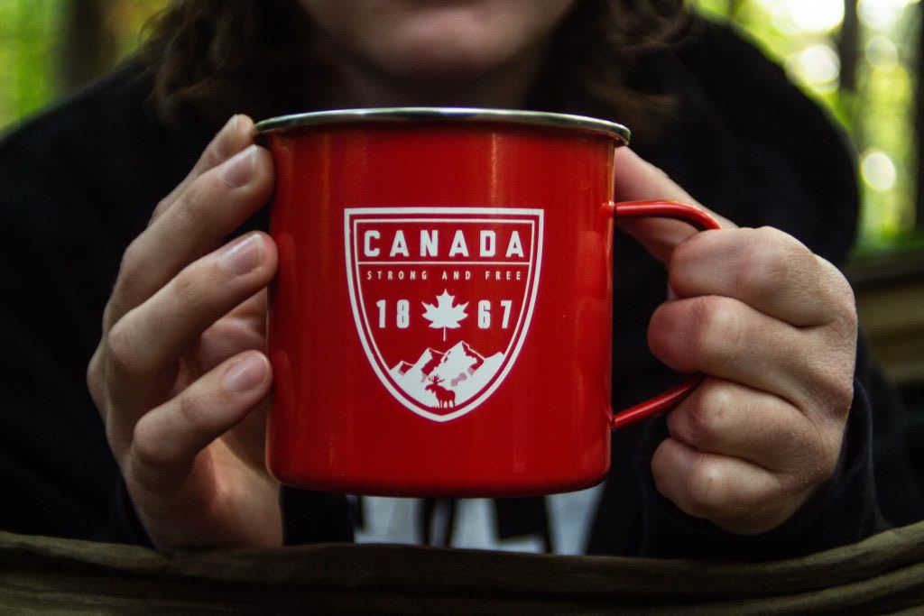 10 Pros and Cons of Living in Canada
