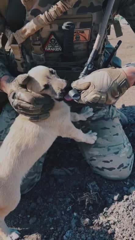 Ukrainian soldier from the kraken special forces unit gives a dog some water