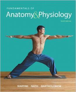Fundamentals of Anatomy Physiology 10th Edition Martini Nath Test Bank