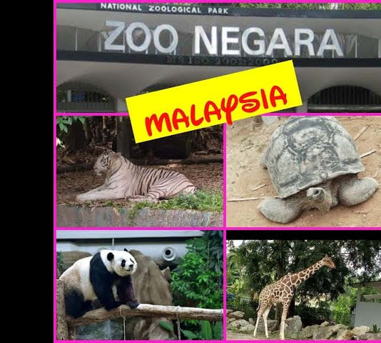ZOO NEGARA - MALAYSIA