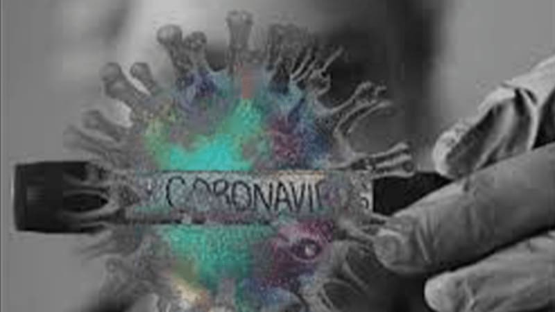 Coronavirus Outbreak: 3 Patients In Rajasthan Cured; Combination Drugs
