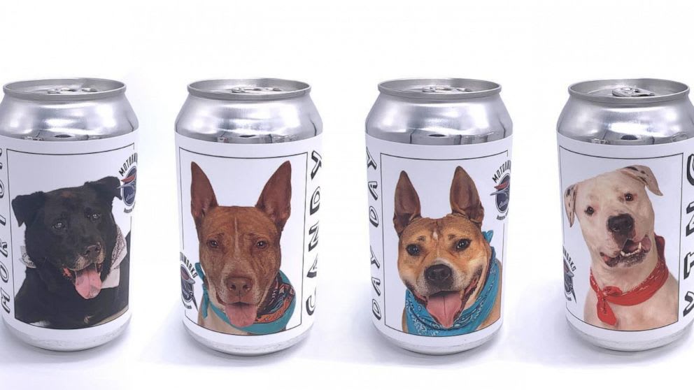 Brewery uses photos on beer cans to help get dogs adopted