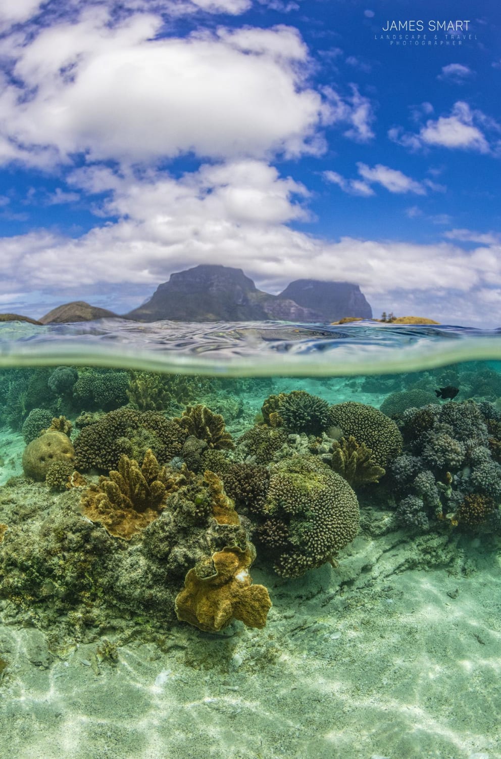 Split image in the beautiful waters of Lord Howe Island, Australia in SpringInstagram:@jamessmartphotography