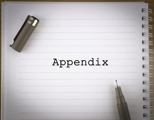 What Goes In The Appendix Of A Pitch Deck