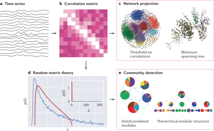 The physics of financial networks - Nature Reviews Physics