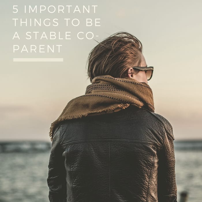 5 Important Things to Be A Stable Co-Parent