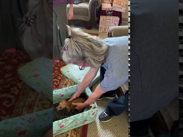 Kids Surprise Mom by Gifting Puppy on Christmas - 1169097