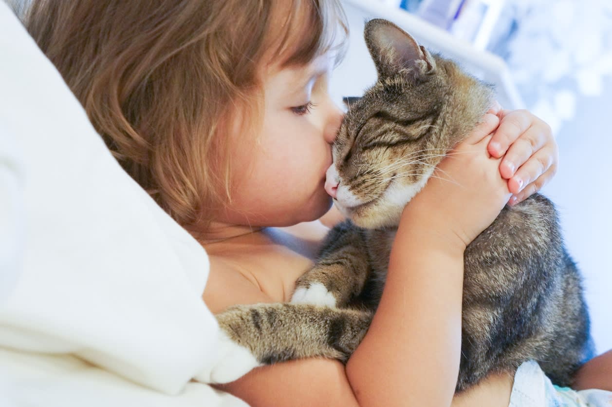 5 Things Your Children Will Learn by Adopting A Cat