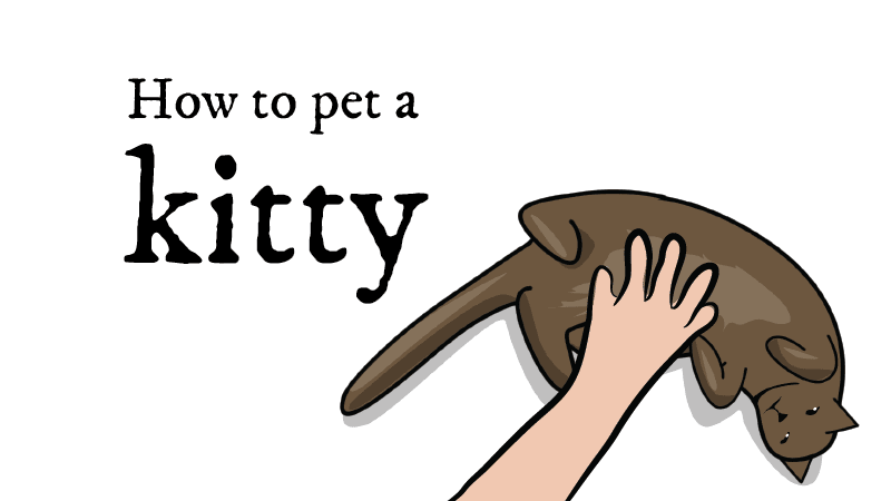 How to pet a kitty