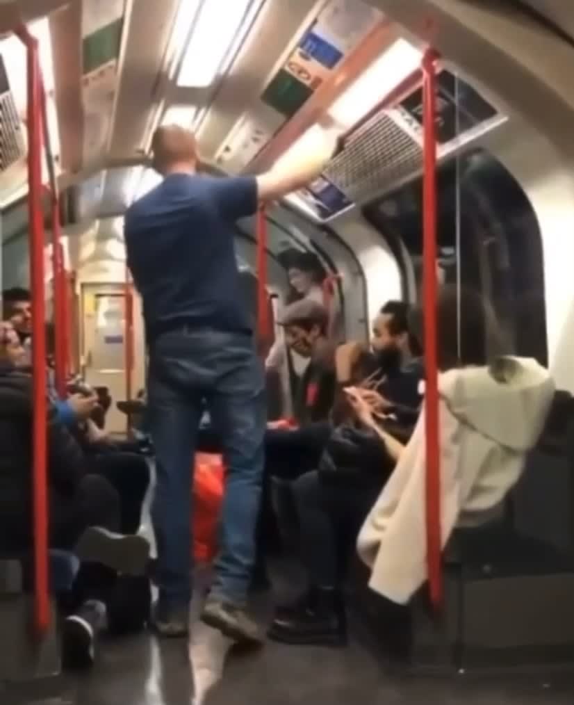 Man harassing woman on train gets taken down by other passengers