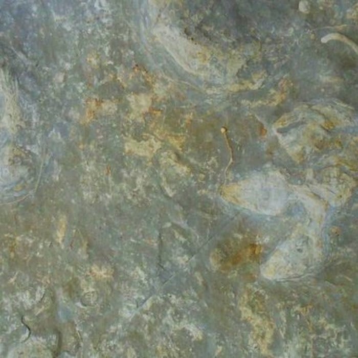 A Huge Cache of Incredibly Detailed Dinosaur Prints Just Emerged on The Coast of England