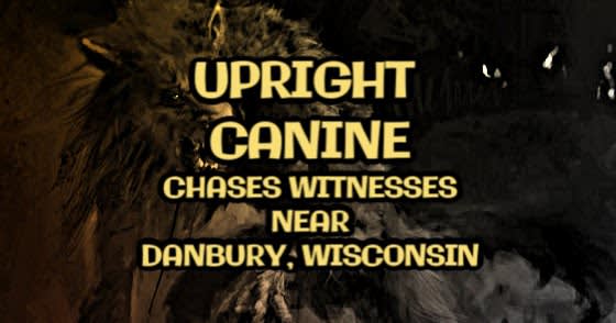 Upright Canine Chases Witnesses Near Danbury, Wisconsin