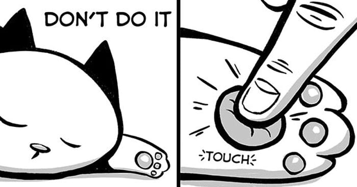 30 Funny Comics About The Reality Of Living With A Cat (New Pics)
