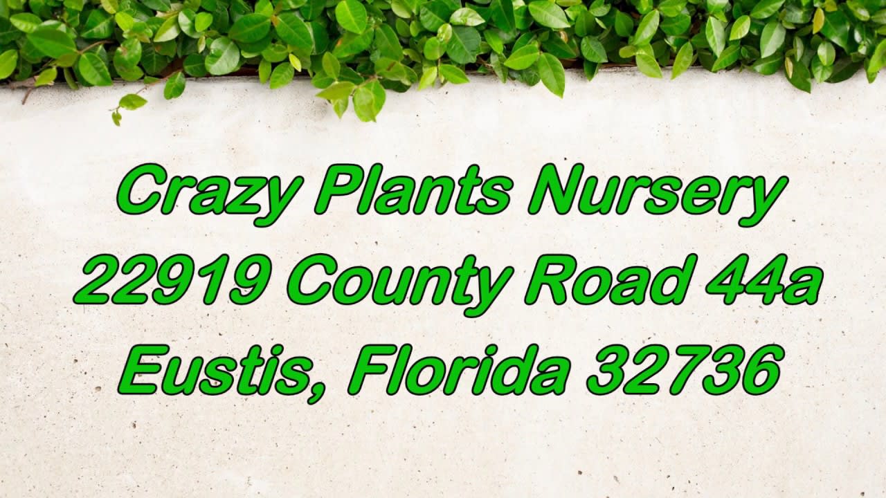 Crazy Plants For Crazy Critters Plant Sale Fundraiser June 05, 2020