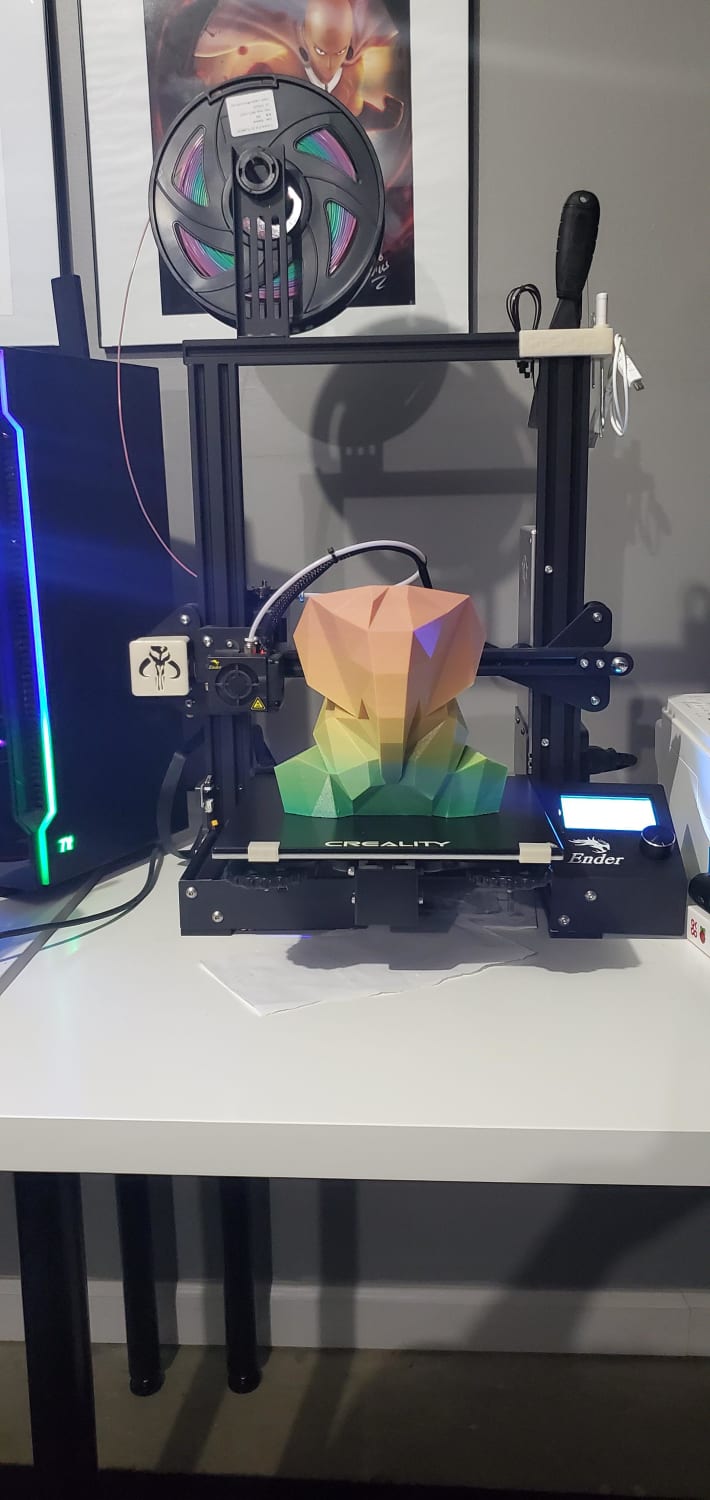 My biggest print to date.... My wife wanted me to finally use the rainbow filament so I made this for her.
