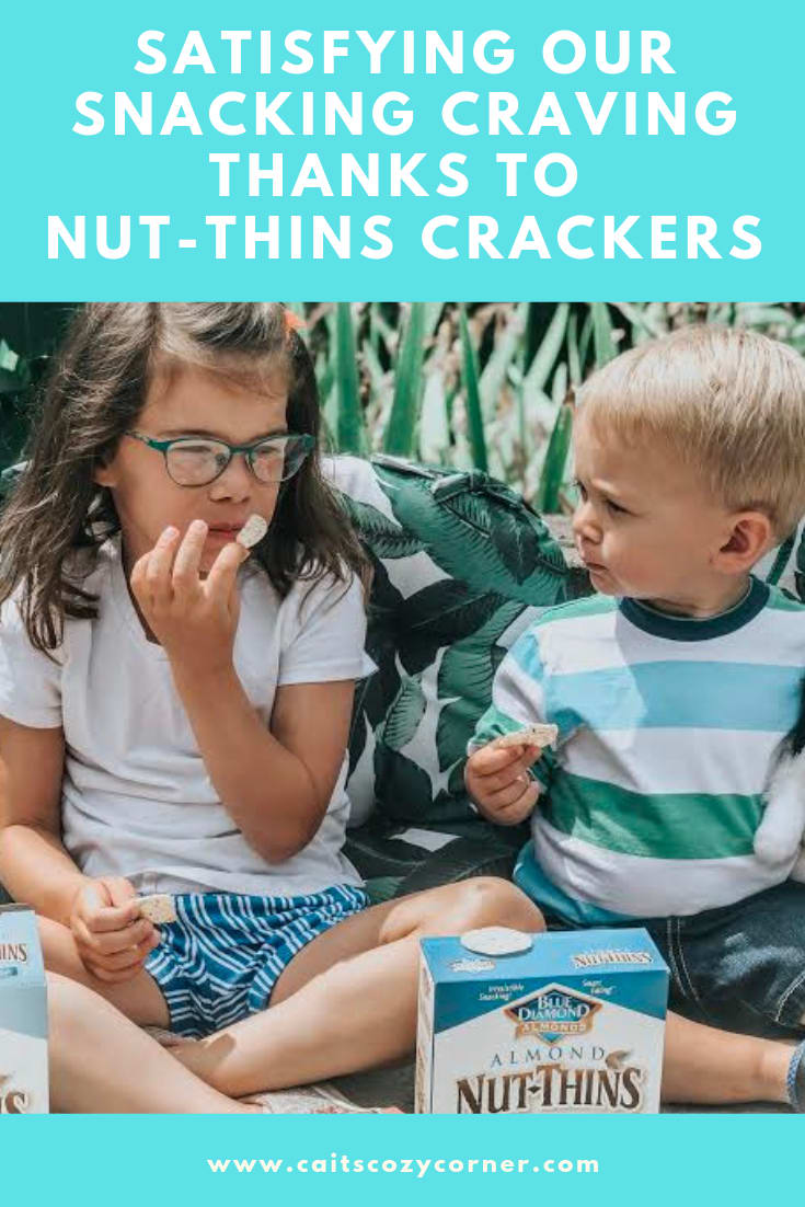 Satisfying Our Snacking Craving Thanks To Nut-Thins Crackers