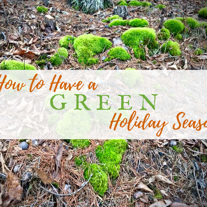 How to Have a Green Holiday Season this Year