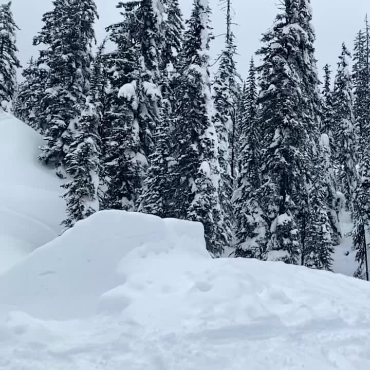 First Backflip on snow
