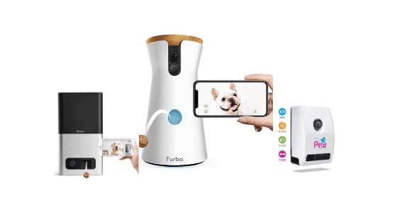 Best Camera for monitoring pets - Review Guide 2020