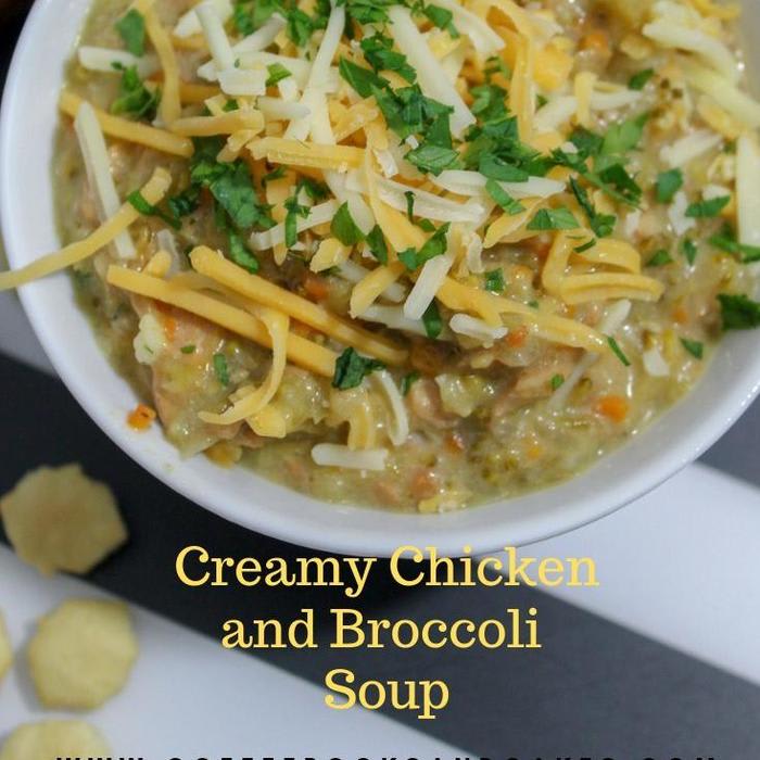 Slow Cooker Creamy Chicken and Broccoli Soup -