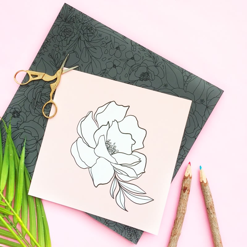 Free Printable Coloring Page - Single Flower Wall Art