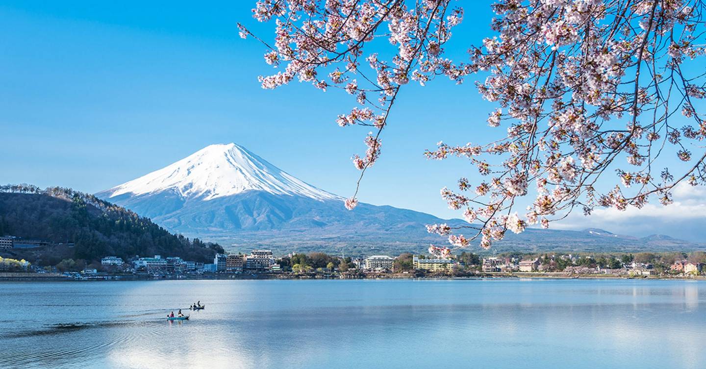 Where to see Japan's famous cherry blossom