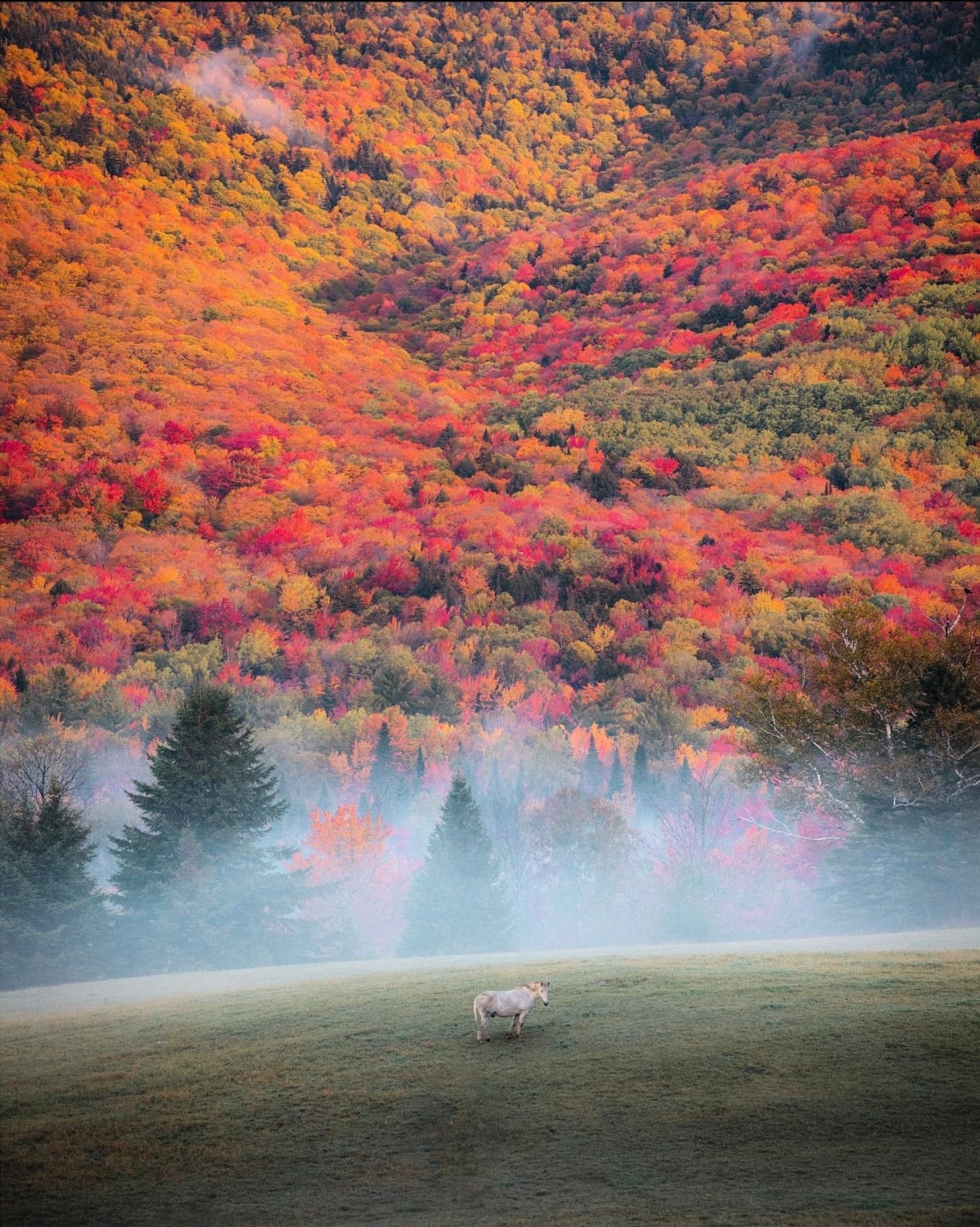 The colors of Autumn in New Hampshire