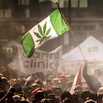 Bud and Breakfast: Canada's cannabis tourism industry is about to take off