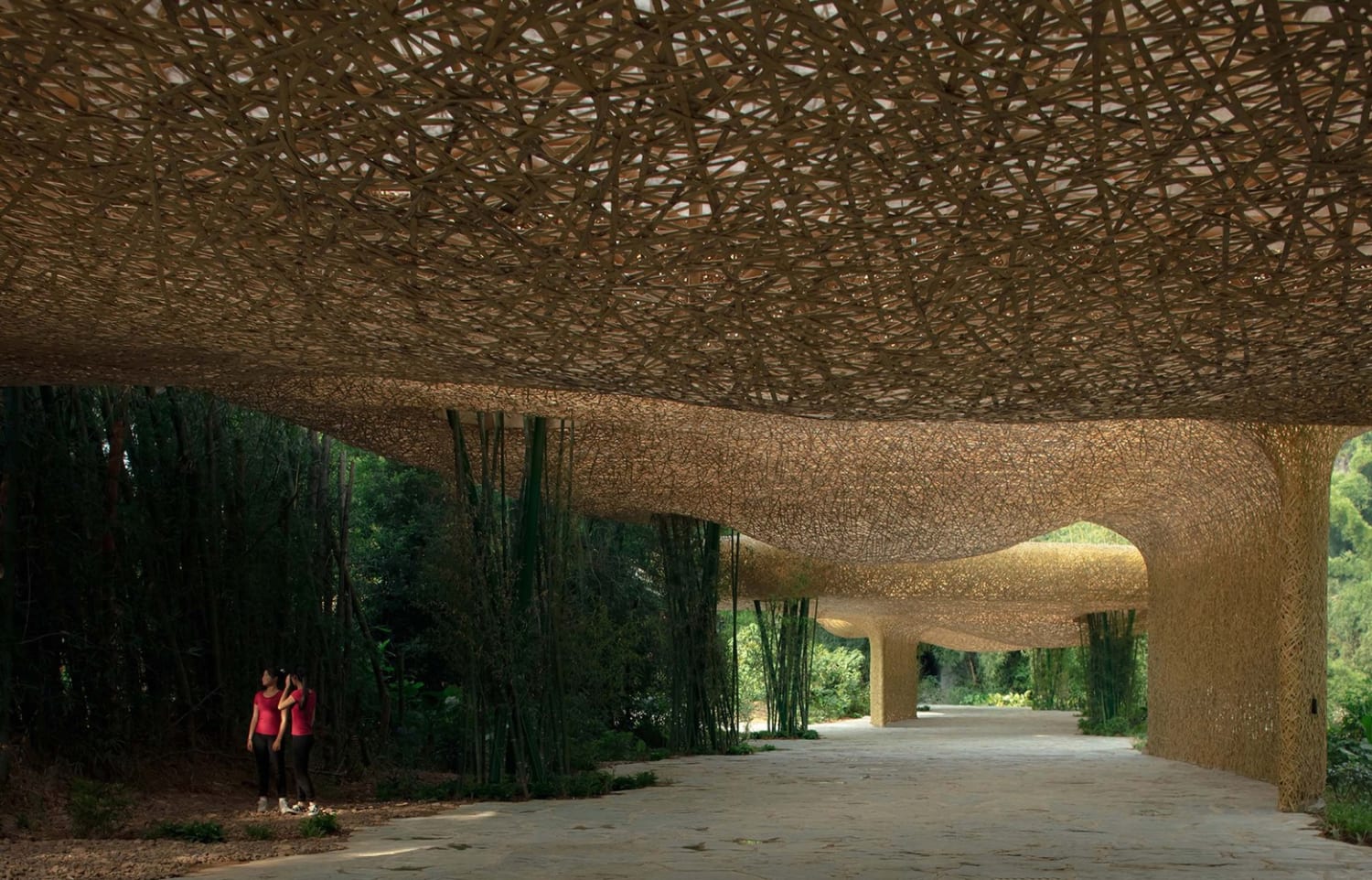 Light Streams through a Swelling Canopy of Woven Bamboo in China's Karst Mountains — Colossal