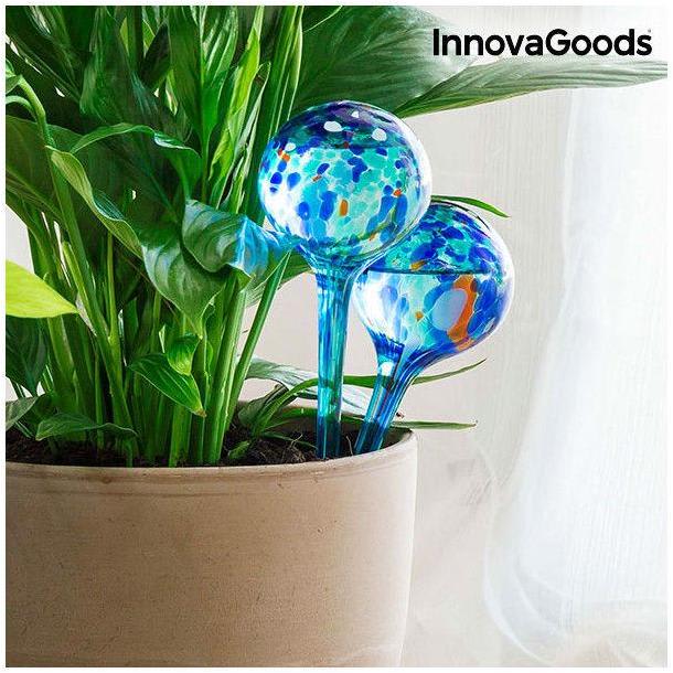 watering globe for plants