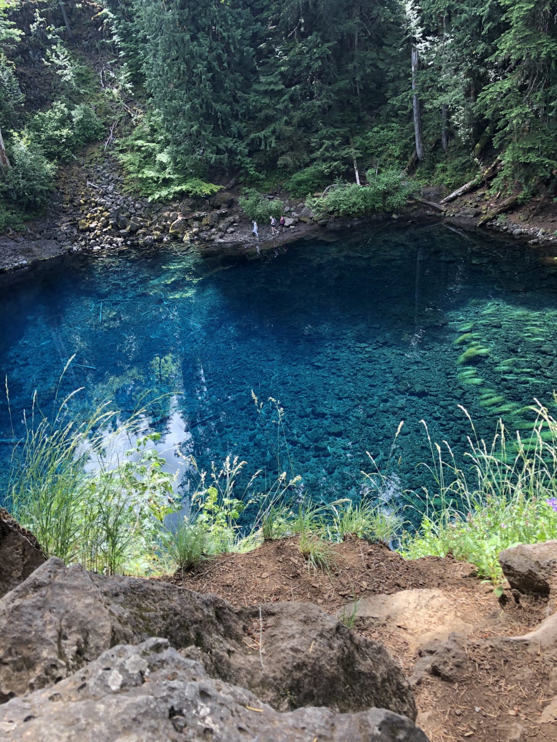Tamolitch Blue Pool Hike, 4 mile out and back, near McKenzie Bridge, Oregon.