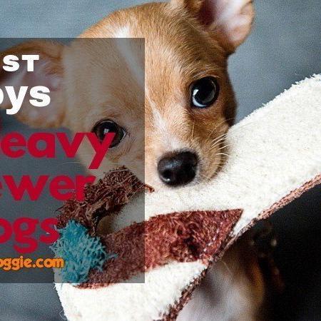 Toughest Dog Toys: Top 10 Best Chew Toys For Your Pets (Reviews) 2018