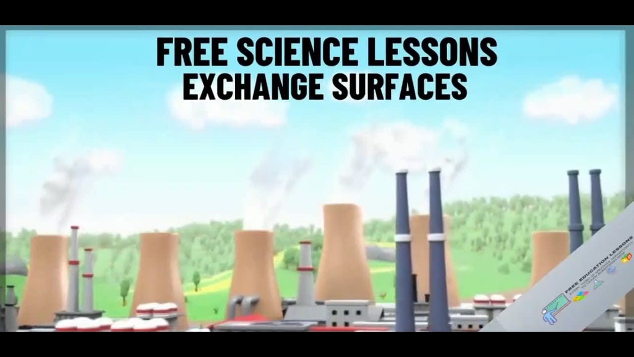 Clip 10 Exchange surfaces - Science