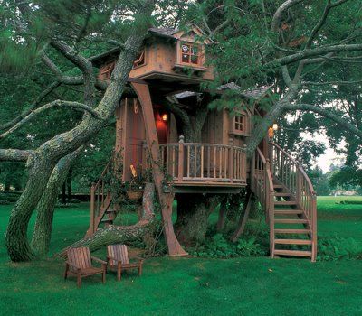 Please can I have a house now? | Cool tree houses, Beautiful tree houses, Tree house