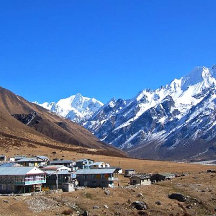 10 Reasons to Go For Langtang Valley Trek - Epic Adventures