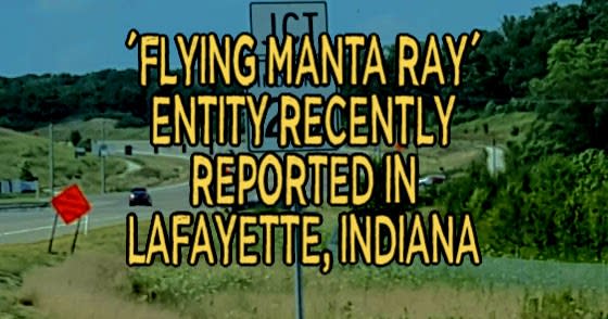 'Flying Manta Ray' Entity Recently Reported in Lafayette, Indiana
