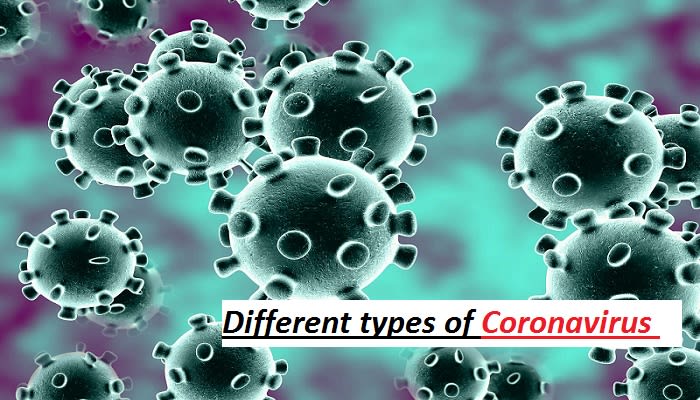 Coronaviruses is Very Big Problems in Our Country ( Comes From China )