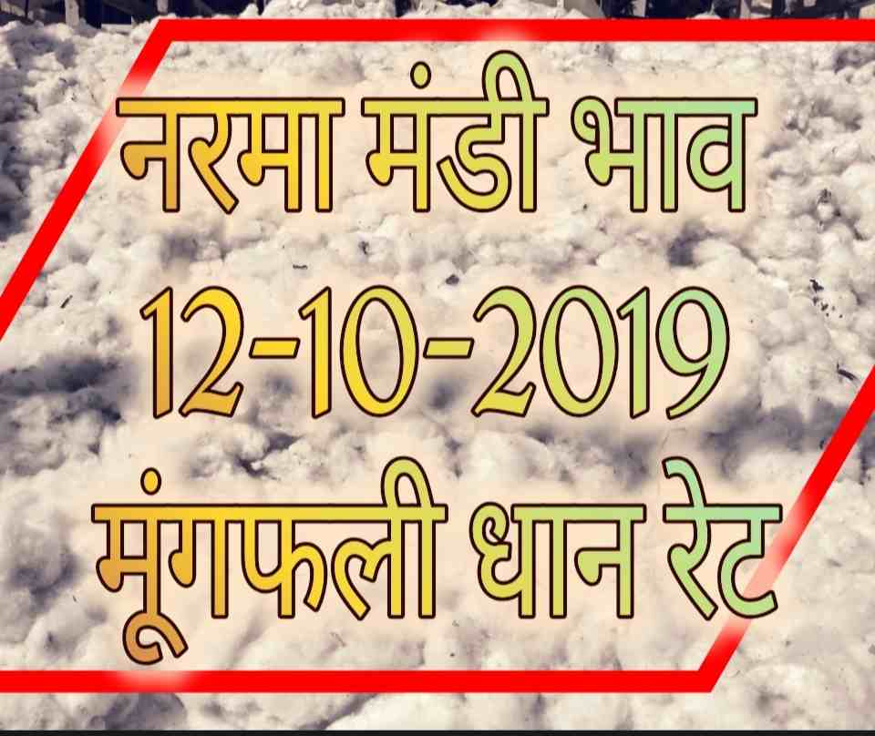 Mandi Bhav 12-10-2019 Moong Narma Dhan