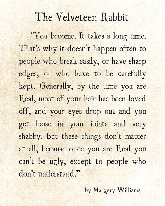 The Velveteen Rabbit x